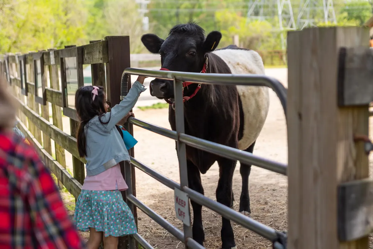Family Farm Tour at Old Maryland Farm — official source image