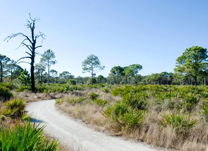 Nature Winter Workshop at Boyd Hill Nature Preserve — venue image