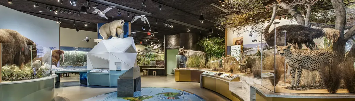 Delaware Museum of Nature & Science Family Visit — venue image