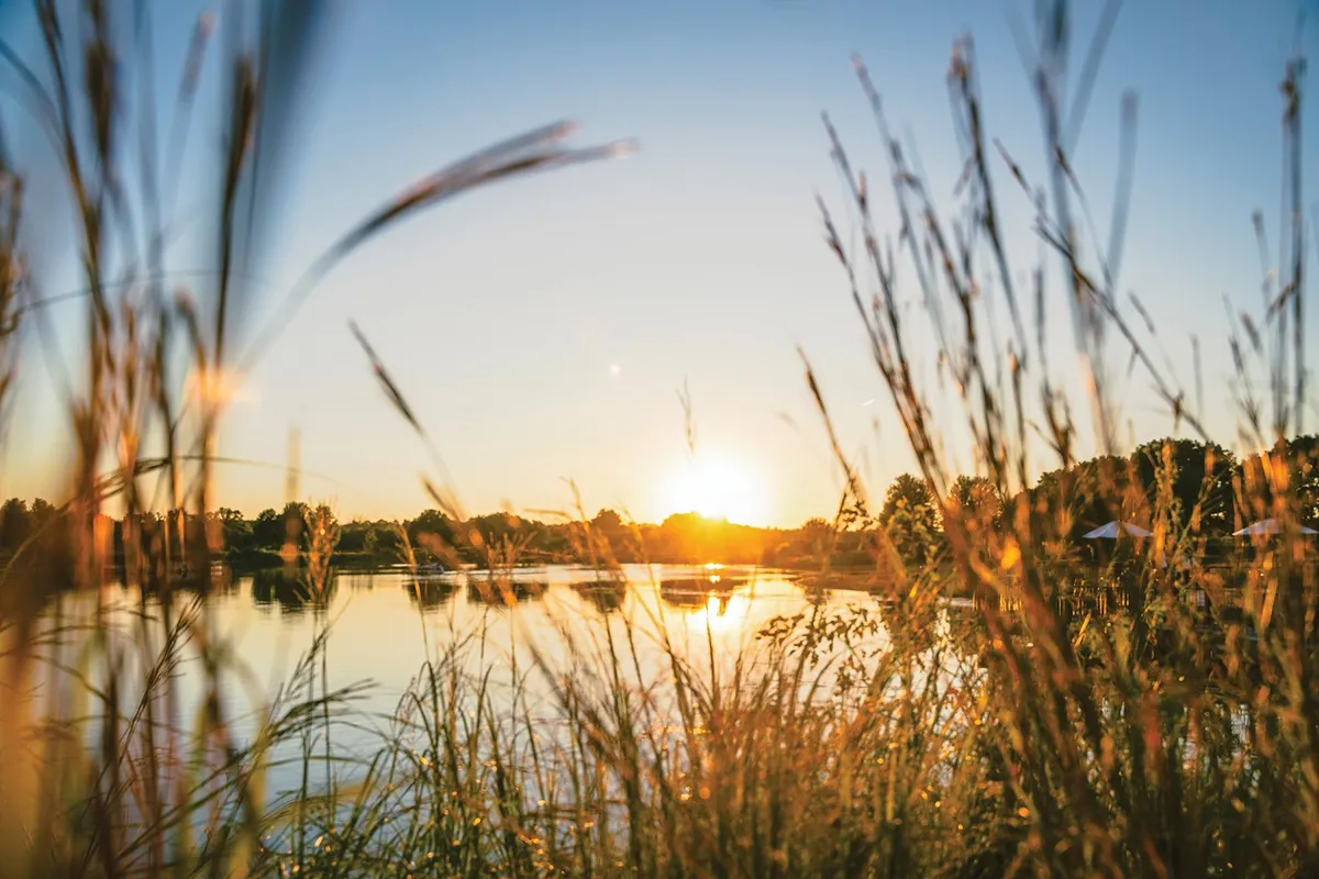 Thanksgiving for Nature Scavenger Hunt at Hastings Lake — venue image
