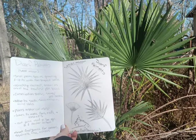 Nature Journaling — American Beautyberry dates pending — program image