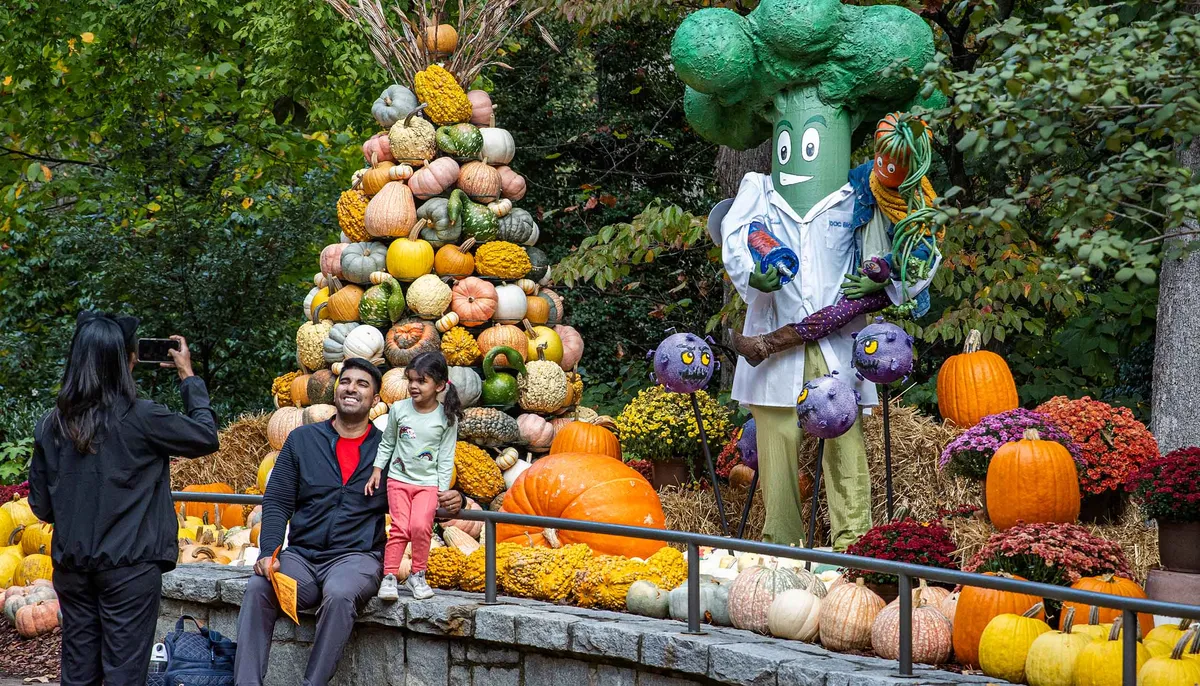 Fall Family Fun — Verified October25 Session — official source image
