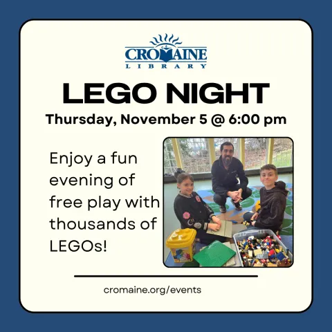 LEGO Night — official source image
