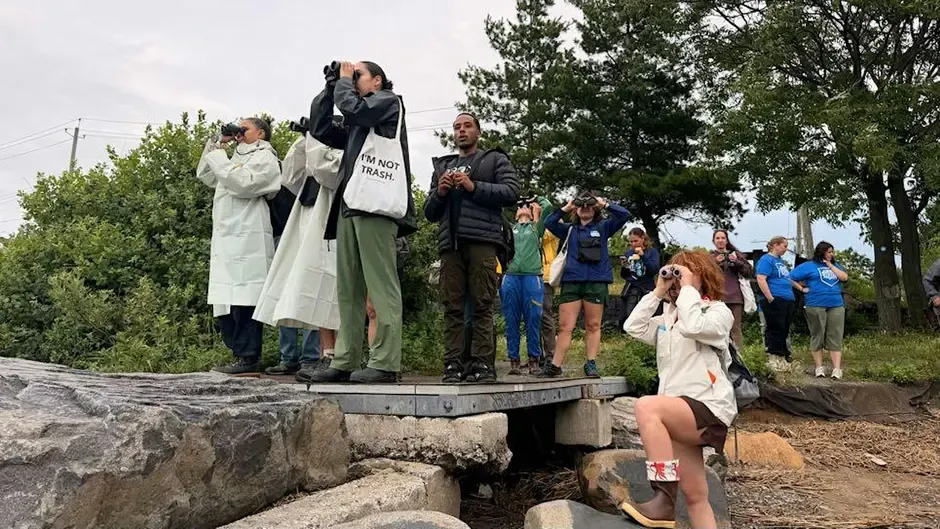 Native Plant and Bird Tour — Indigenous Peoples’ Day — official source image